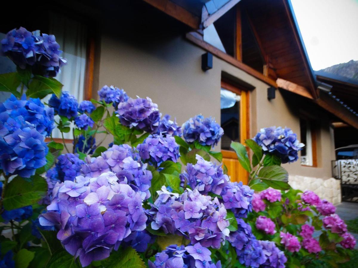Vuelvo Al Sur Puelo Holiday home *